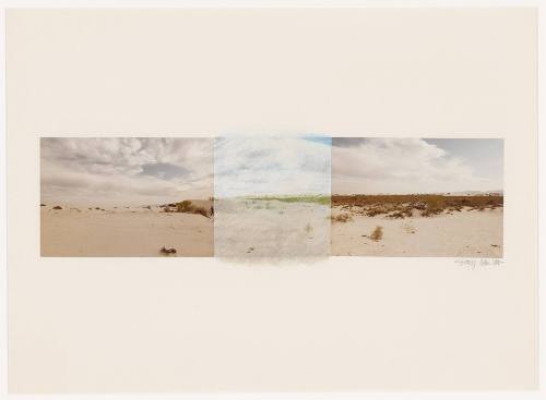 Untitled [Sonoran Desert from Locations and Sites series]