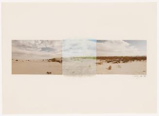 Untitled [Sonoran Desert from Locations and Sites series]