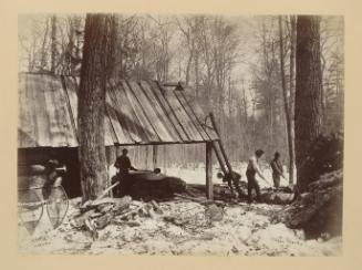 Photograph Album: Canadian Views and Studies