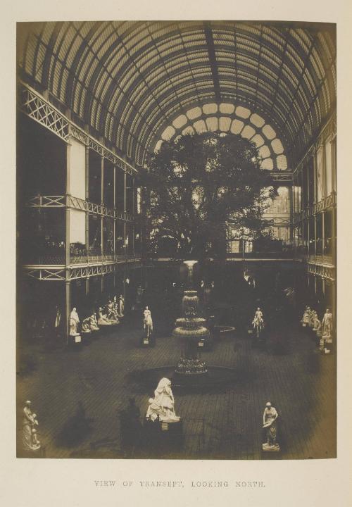 [View of Transept, Looking North]