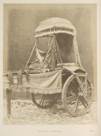[Buffalo Carriage, India]