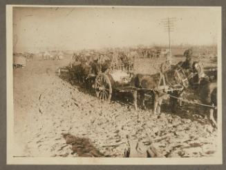 [Wagon Lines at Ypres, a Quagmire]