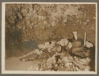 [The Dead Rolled into Shell Craters as an Easy Means of Burial (Zonnebeke)]