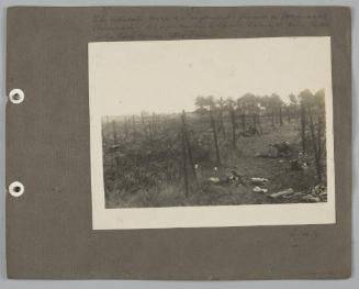 Album: Palestine etc.