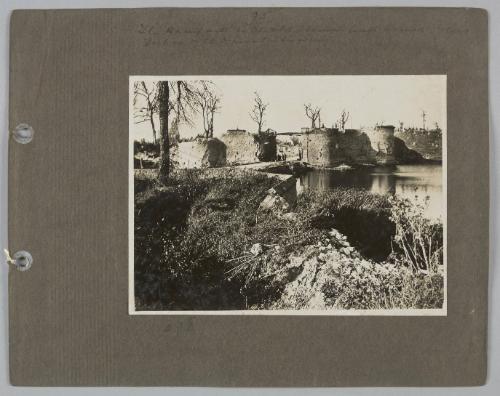 Album: Palestine etc.