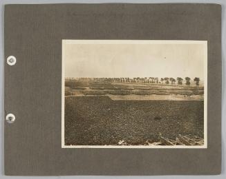 Album: Palestine etc.