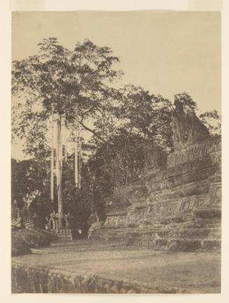 Rangoon. The Votive Tree, (Shwe Dagon Pagoda)