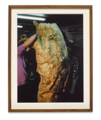 Documentation of the ritual process, stage 1.24