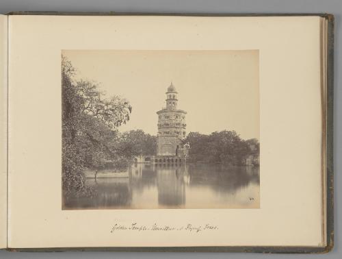 [Babatul Temple, Umritsur, and flying foxes]   from Indian Views