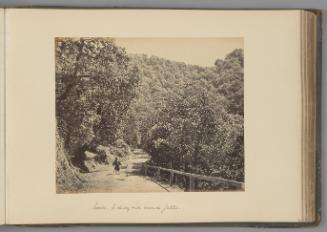 [Simla; A shady ride round Jakko]   from Indian Views