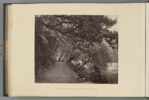 [Nynee Tal; Willows and rocks at the South end of the lake]   from Himalayas
