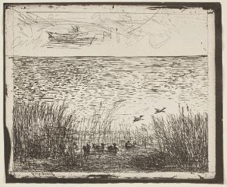 Le Marais aux canards