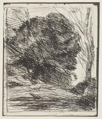 Les Arbres dans la montagne from Portfolio Quarante Cliches-glace...