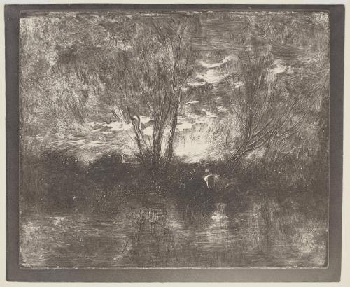 Vaches a l'abreuvoir