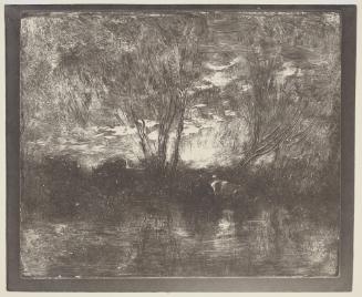 Vaches a l'abreuvoir