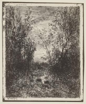 Le Ruisseau dans la clairiere