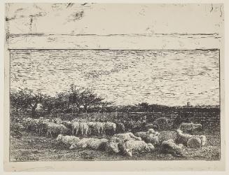 Le Grand Parc a moutons