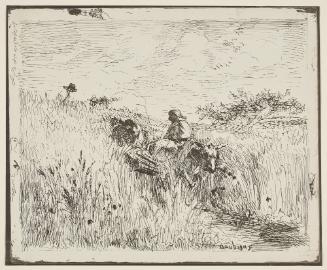 Sentier dans les bles