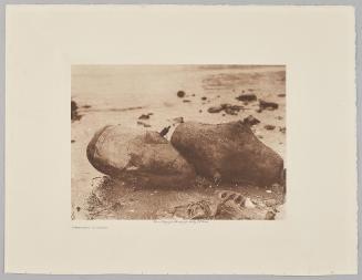 Whaling Floats from the volume The North American Indian