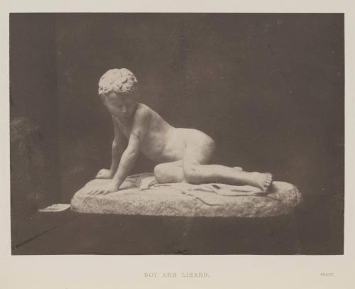 [Boy and Lizard, Sharp]