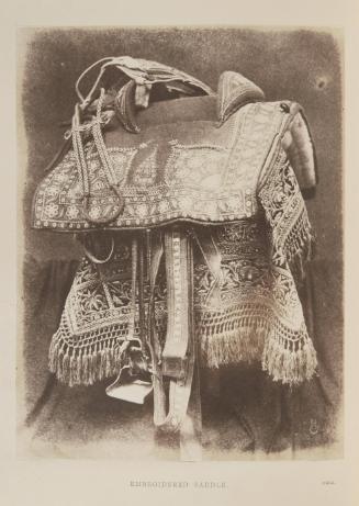 [Embroidered Saddle (2)]