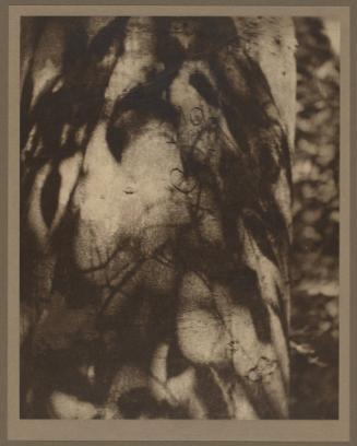 The Tryst (Beech Tree, Port Dover)