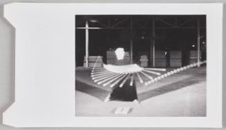 baseball swing (multiflash, polaroid)