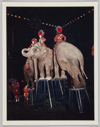 Circus-Women on Elephants