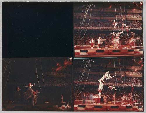 Original Contact Sheet, Moscow Circus, Boston Garden