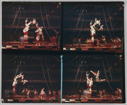 Original Contact Sheet, Moscow Circus, Boston Garden