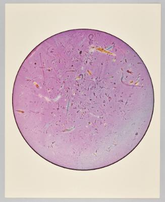 Marine Organisms, 1980