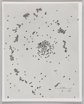 Water Exploration Project 1932-1988