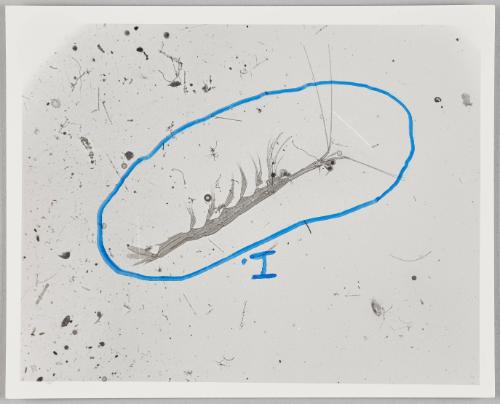 Water Exploration Project 1932-1988