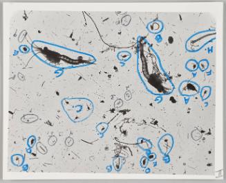 Water Exploration Project 1932-1988