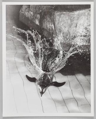 Underwater Penguin, NE Aquarium