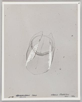 Shadow Exhibit prints & Notes, 1987