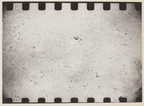 Underwater Exploration Panels