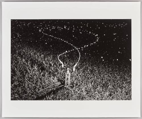 Water Sprinkler at Night