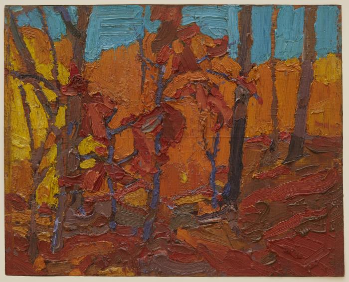 Autumn Woods, Algonquin Park (recto); Untitled (verso)