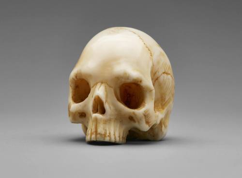 Ivory Skull