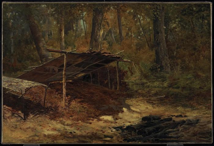 Camp in the Woods